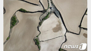 긴 장마 끝나니 이번엔 폭염…제주, ‘농작물 관리주의보’ 발령