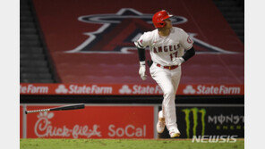 ‘감 잡은’ 오타니, 2경기 연속 홈런 작렬