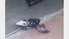 스피츠 죽인 로트와일러…견주 “나 죽더라도 안락사 못해”