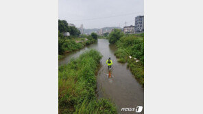 ‘용인 토막살해 사건’ 시신 모두 수습…2㎞ 간격 경안천변 두 곳서 발견
