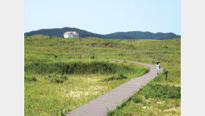 나긋나긋 초록빛의 속삭임