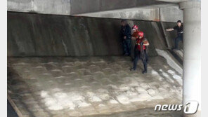 폭우에 서울 도림천 범람…시민 28명 고립됐다가 구조