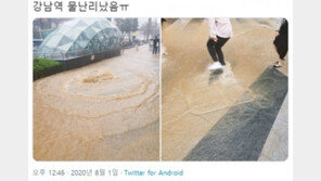 “강남역 물난리”“집 못간다”“하천에 고립”…발묶인 시민들
