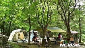 마스크·거리두기 안된 캠핑 결과는?…“44~50% 감염 노출”