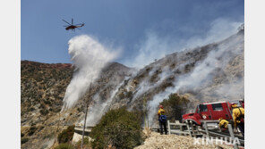美 애리조나-유타주 접경에 산불…광대한 삼림에 번져