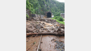 영동선 열차운행 중단…현동~분천 선로 토사유입