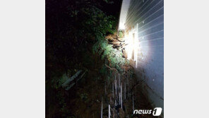 강원 최고 195.8㎜ 폭우, 태백선 운행 중단 등 잇따라…피해 총 40건