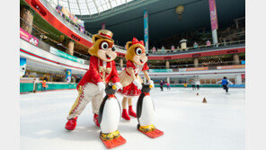 롯데월드 어드벤처 방문시 아이스링크 무료