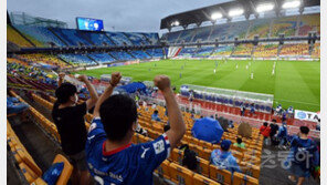 [현장리포트] 팬들이 축구를 봤다…K리그는 평범한 일상을 찾았다