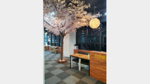 요요 없는 온열요법 다이어트 자체검증 거쳐 전국매장 확대