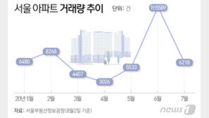 ‘거품일까’…서울 아파트 거래량, 2006년 버블기 이후 최대