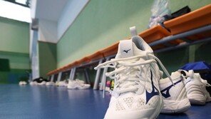 대구시 女핸드볼팀 성추행 의혹 조사 본격화…2차 피해 막기 위해 비공개