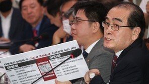 태영호 “대북전단법, 김정은이 만들라 해도 이렇게는 안 해”