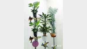 휴가 계획[고양이 눈]