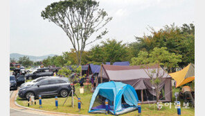 붐비는 오토캠핑장
