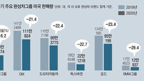 현대차, 코로나속 美서 첫 플러스성장