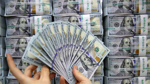 또 ‘사상 최대치’…7월 외환보유액 4165억달러