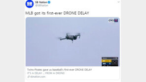 메이저리그 경기장에 정체불명 드론이? 5분간 경기 지연 해프닝