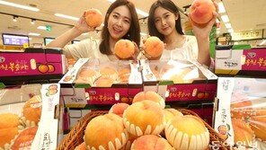 “당도 높은 타이벡 복숭아 맛보세요”