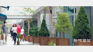 대림-청계상가 공중보행로서 산책하세요