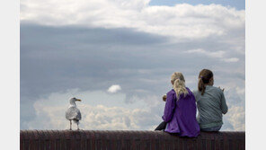 한 입만![고양이 눈]