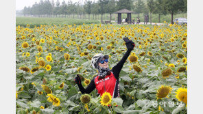 해바라기 배경으로 찰칵