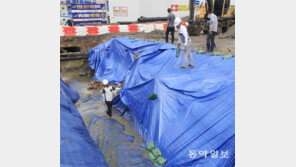 집중호우 피해 대비