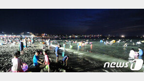 제주의 밤, 역대 가장 뜨거웠다…최저기온 역대 1위 경신