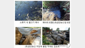 한 마을에 30명이 암 ‘장점마을’ 미스터리, 엉터리 행정이 원인