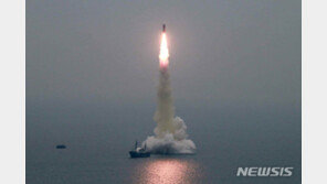 美국방차관보 “北, 실패에서 교훈…미사일 능력 개선해”