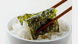 “김 5장에 달걀 1개 단백질… 비타민도 풍부” 