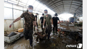 임진강·북한강 인근 군부대 대피…철책·울타리 100여곳 피해