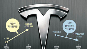 규제 빈틈 파고든 테슬라, ‘취득세 회피 옵션’ 논란