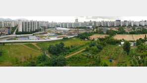 81년만에 시민 품으로 돌아오는 미군기지 ‘캠프마켓’