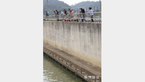 법성포 숭어낚시 인기