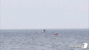 먼 해상으로 떠밀려갔던 모녀, 방수팩 전화 덕에 ‘무사’