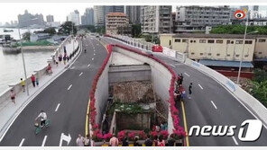 ‘역대급 알박기’ 中서 가운데 뻥 뚫린 기형 도로 화제