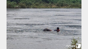 괴산 카누 전복사고 50대 실종자, 5일 만에 숨진 채 발견