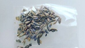 중국發 정체불명 ‘씨앗’ 국내에도 배송됐다…“옷에 숨겨 단추인 줄”