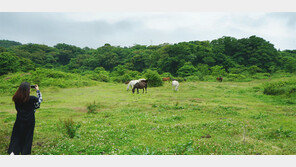 걸으멍 쉬멍 밭담길에 행복이 옹기종기