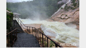 강원국립공원 오대산 부분통제…태백·치악·설악산 전면통제