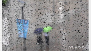 270㎜ 온 부산에 100~200㎜ 더 온다…제5호 태풍 ‘장미’ 북상