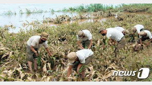 북한 “노고도 못 풀고”…연일 김정은 ‘애민정신’ 부각