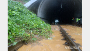 전라선 열차운행 정상화…태백선 전 구간 운행 중단