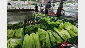 역대급 긴 장마에 장바구니 물가 급등…2012년 ‘금채소’ 혼란 재연 우려