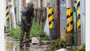 軍, 강원 철원·화천서 대인지뢰 3발 수거…폭우로 유실 추정