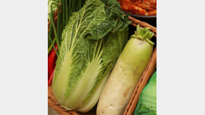 역대급 긴 장마에 채소류 가격 폭등… ‘금채소’ 파동 올까 우려