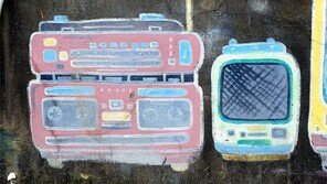 아날로그 감성[고양이 눈]