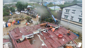 지붕 위 소떼 구출 작전…2시간만에 1마리 가까스로 구조