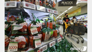 폭우에 김치가 금치될라 발동동…정부 “김장배추 수급 이상무”